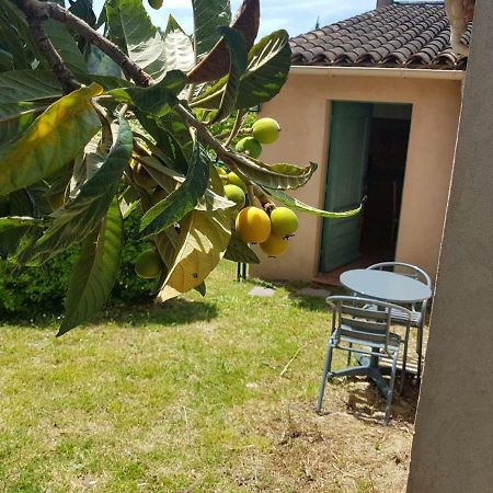 Grand Studio La Roquette-sur-Siagne ภายนอก รูปภาพ